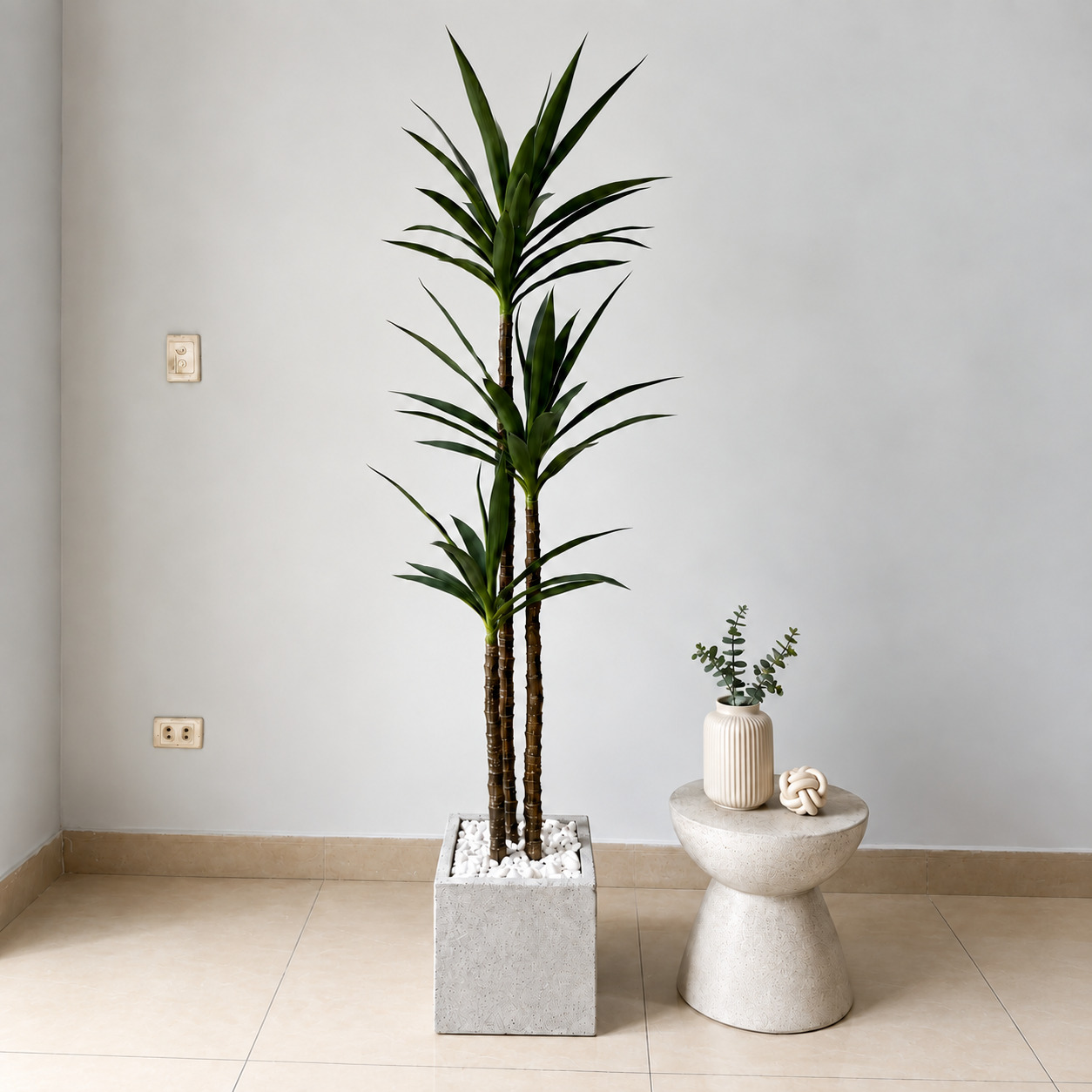 Cây Chi Huyết Giác Giả 2 Nhánh Trang Trí Cửa Hàng, Studio, Tiệm Quán, Văn Phòng, Nhà Cửa – Cao 1m2 – Mã: PN-CG0274