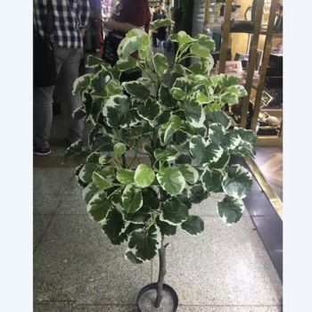 Cây Cẩm Thạch Giả Trang Trí Cửa Hàng, Studio, Tiệm Quán, Văn Phòng, Nhà Cửa – Cao 1m1 – Mã: PN-CG030