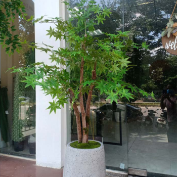 Cây Phong Lá Xanh Giả Trang Trí Nội & Ngoại Thất – Cao 1m6 – Mã: PN-CG001