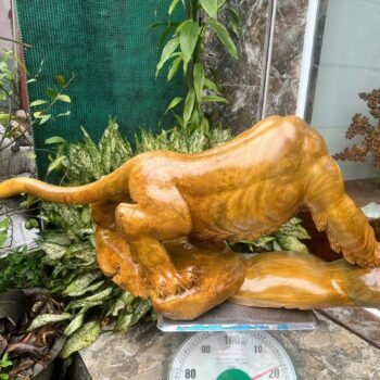 Tượng Phong Thuỷ Hổ Nu Kháo Vàng – TPT 05