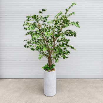 Cây Phong Lá Xanh Giả Trang Trí Nội & Ngoại Thất – Cao 2m5 – Mã: PN-CG001