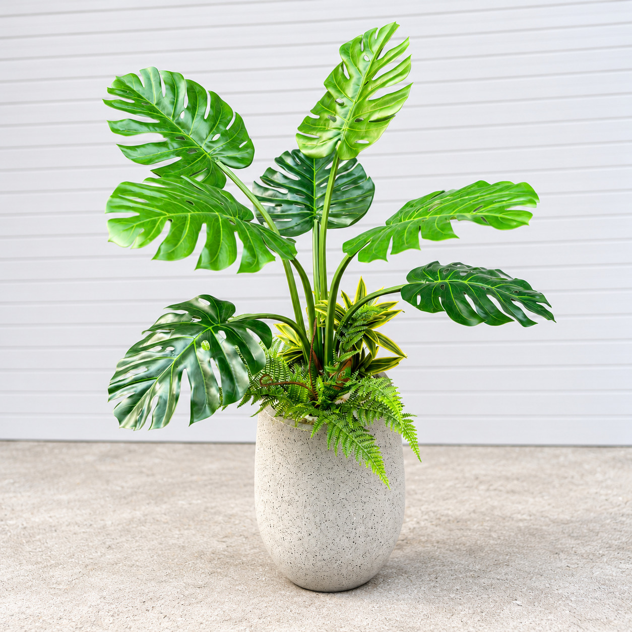 Cây Trầu Bà Lá Rách Trang Trí Cửa Hàng, Studio, Tiệm Quán, Văn Phòng, Nhà Cửa – Cao 110cm – Mã: PN-CG112