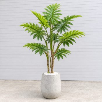 Cây Trầu Bà Thanh Xuân Trang Trí Cửa Hàng, Studio, Tiệm Quán, Văn Phòng, Nhà Cửa – Cao 120cm – Mã: PN-CG112