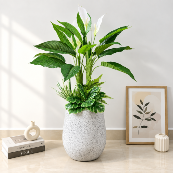 Cây Lan Ý Giả Trang Trí Cửa Hàng, Studio, Tiệm Quán, Văn Phòng, Nhà Cửa – Cao 90cm – Mã: PN-CG032