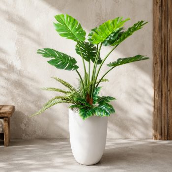 Cây trầu bà giả Monstera cao 1m2, phối kết xanh đẹp tự nhiên
