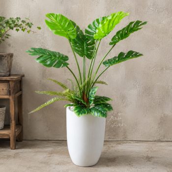 Cây trầu bà giả Monstera cao 1m2, phối kết xanh đẹp tự nhiên