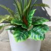 Cây Monstera giả phối dương xỉ trong chậu sứ trắng