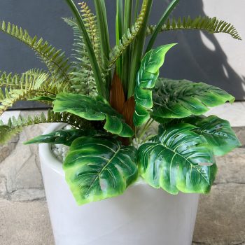 Cây trầu bà giả Monstera cao 1m2, phối kết xanh đẹp tự nhiên