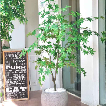 Cây Phong Lá Xanh Giả Trang Trí Nội & Ngoại Thất – Cao 1m6 – Mã: PN-CG001