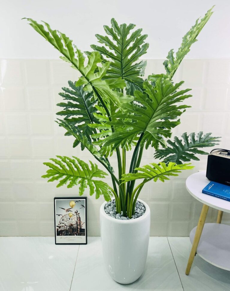 Cây trầu bà giả