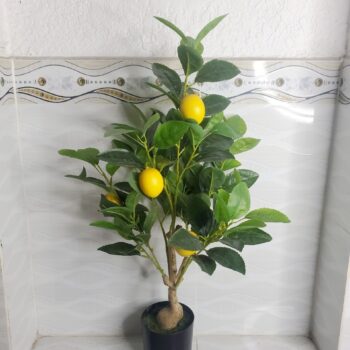 Cây Chanh Mỹ Giả Trang Trí Cửa Hàng, Studio, Tiệm Quán, Văn Phòng, Nhà Cửa – Cao 60cm – Mã: PN-CG073