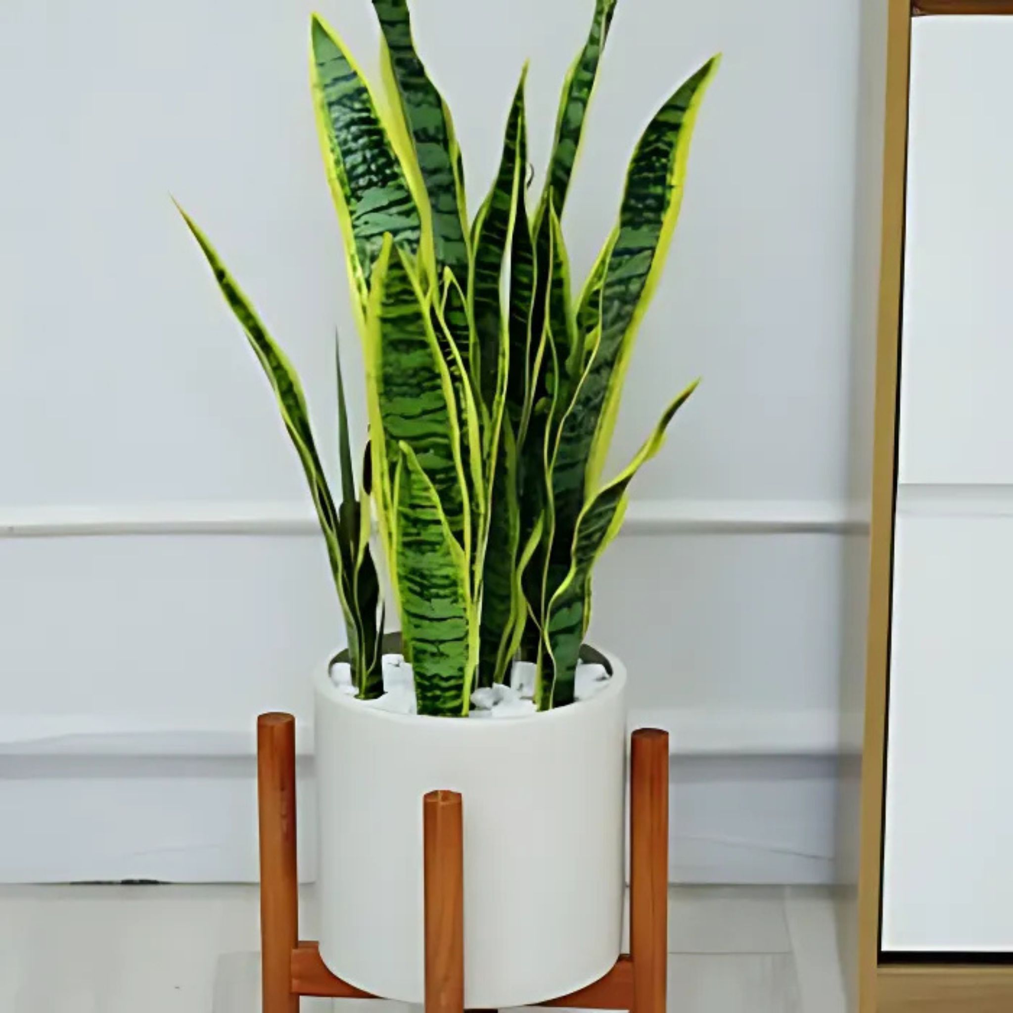 Bồn cây giả văn phòng mở