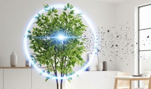 Quang xúc tác với hiệu quả bền vững, kéo dài đến 1 đến 3 năm