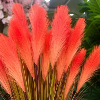 Cỏ lau giả màu hồng cam cao 80cm nổi bật, ấn tượng kèm chậu đá mài trắng