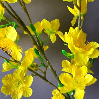 Cành mai giả cao cấp giống thật dùng để trang trí